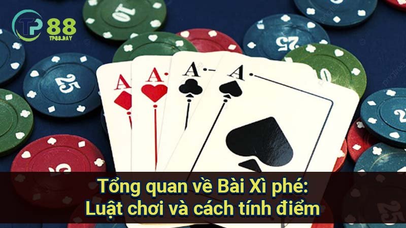 Kỹ Thuật Đặt Cược Bài Xì Phé: Nâng Cao Kỹ Năng 5 tong-quan-ve-bai-xi-phe:-luat-choi-va-cach-tinh-diem