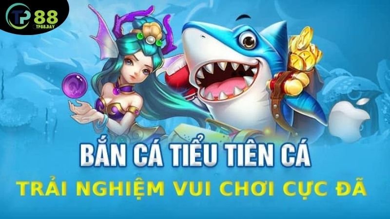 Game bắn cá tiểu tiên cá - Tận hưởng phút giây giải trí với tiểu tiên cá xinh đẹp 6 gameplay-va-co-che-hoat-dong-cua-game-ban-ca-tieu-tien-ca