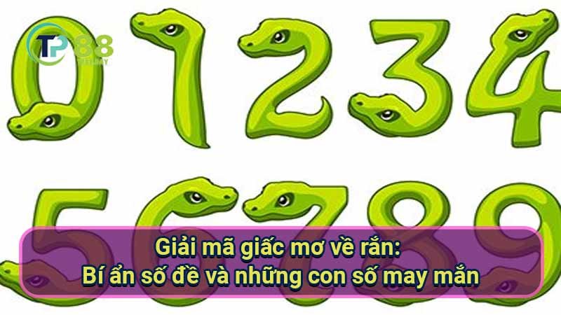 Giải mã giấc mơ về rắn: Con số may mắn là gì? 5 giai-ma-giac-mo-ve-ran:-bi-an-so-de-va-nhung-con-so-may-man