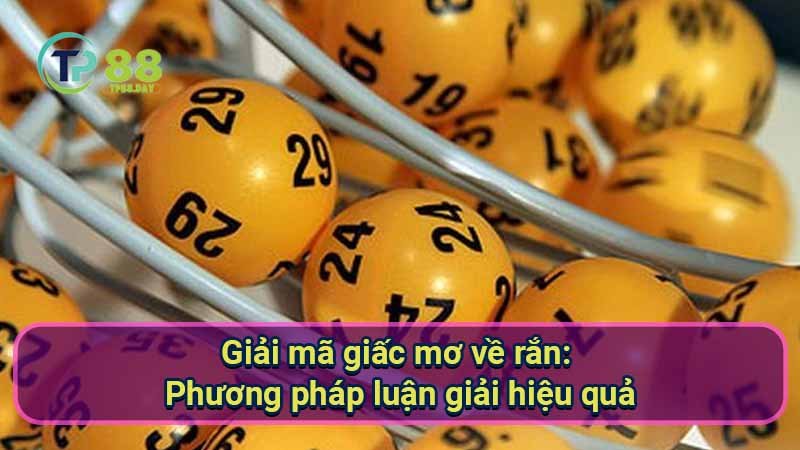 Giải mã giấc mơ về rắn: Con số may mắn là gì? 7 giai-ma-giac-mo-ve-ran:-phuong-phap-luan-giai-hieu-qua